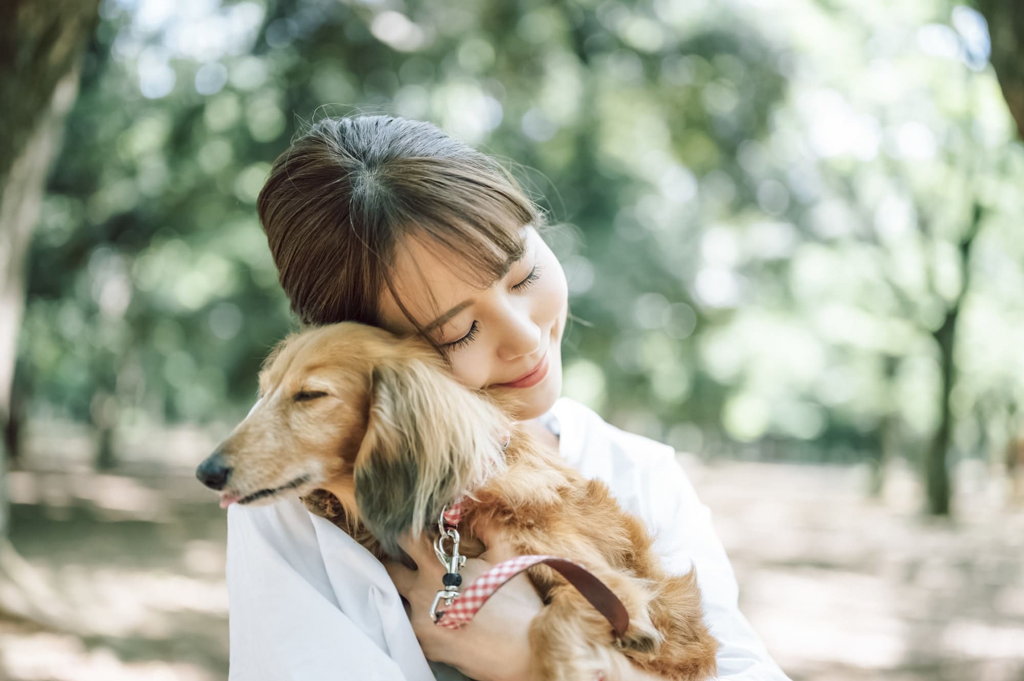 【幸せなシニア期に向けて】シニア犬が迎える心と体の変化、病気のリスクと今からできる予防・サポートを解説!