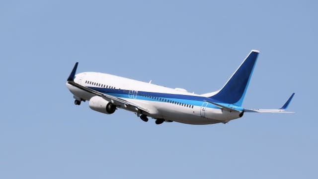 愛犬と一緒に海外へ行ける？日本における愛犬の空の旅