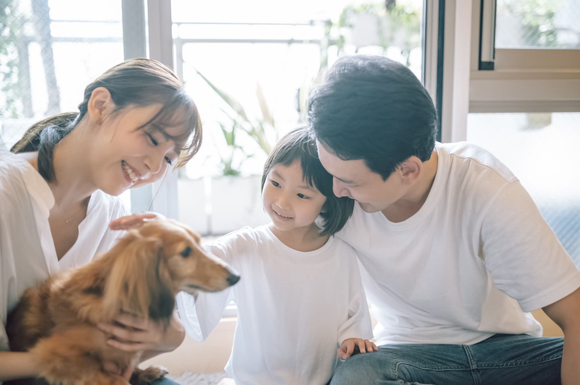 愛犬に伝わる！正しいコミュニケーションと信頼関係の築き方