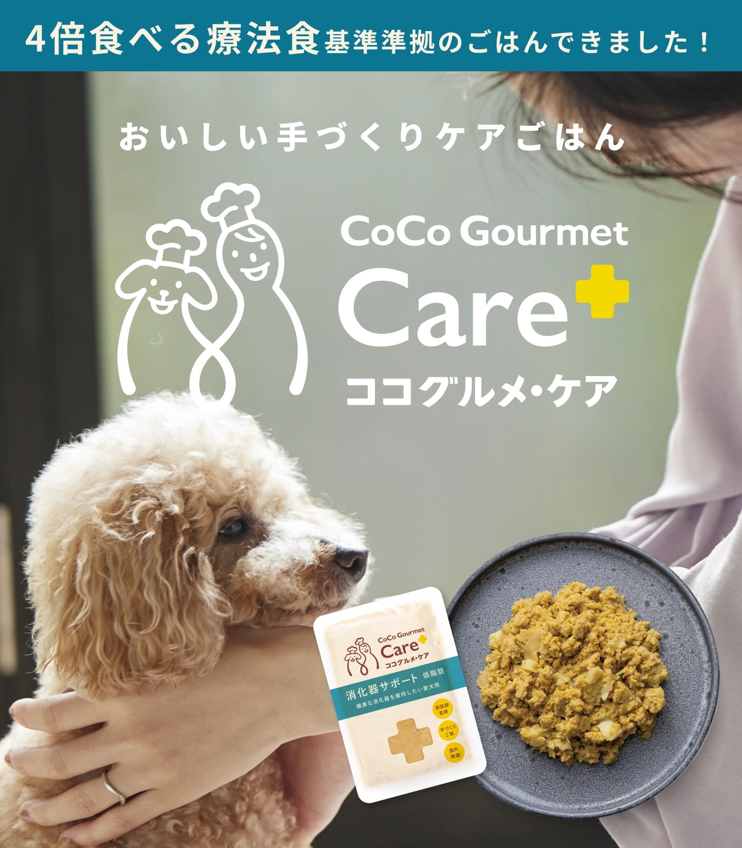 冷凍】ココグルメ・ケア 消化器サポート 低脂肪 100g【発注単位5 